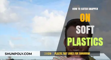 Catching Snapper on Soft Plastics: The Ultimate Guide