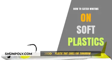 Catching Whiting on Soft Plastics: The Ultimate Guide