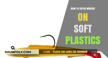 Catching Wrasse on Soft Plastics: The Ultimate Guide