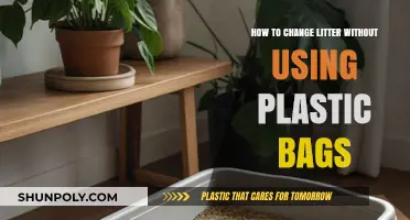 Eco-Friendly Litter Changes: Plastic-Free Alternatives for a Greener Home