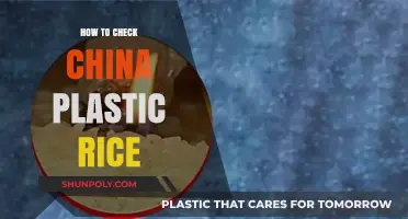 Identifying Fake Plastic Rice: Simple Checks for Consumers