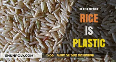 Spotting Fake Rice: Simple Ways to Check for Plastic