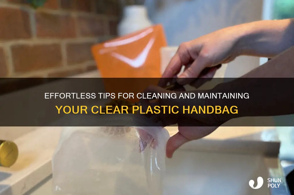 how to clean a clear plastic handbag