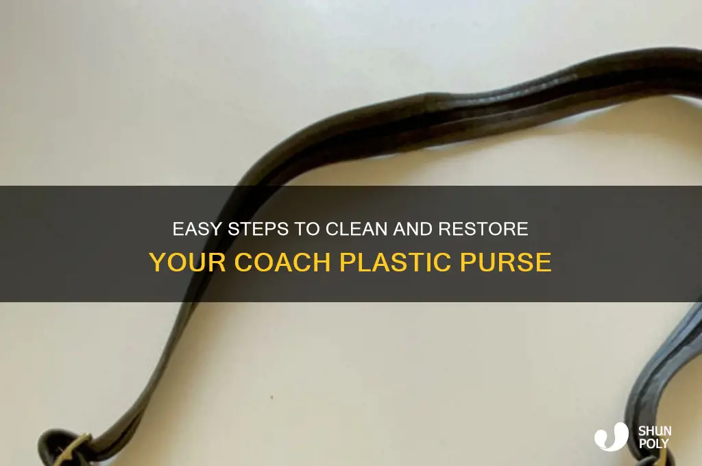 how to clean a coach plastic purse