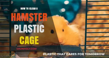 Easy Steps to Clean and Maintain Your Hamster's Plastic Cage