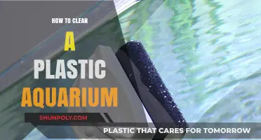 Effective Tips for Cleaning and Maintaining Your Plastic Aquarium