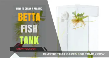 Easy Steps to Clean Your Plastic Betta Fish Tank Effectively