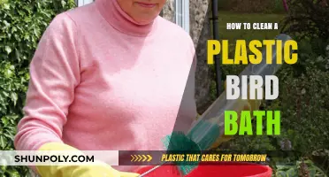 Easy Steps to Clean and Maintain Your Plastic Bird Bath