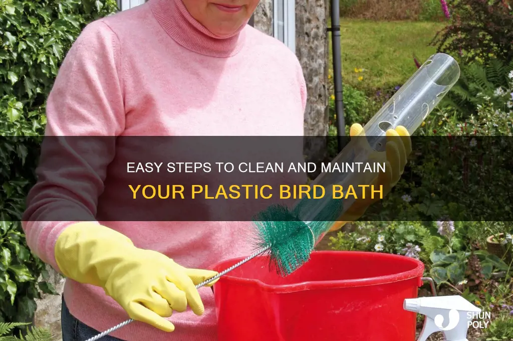 how to clean a plastic bird bath