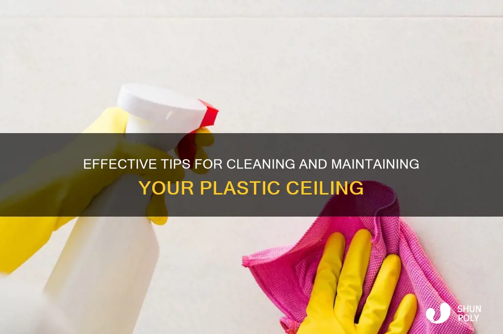 how to clean a plastic ceiling