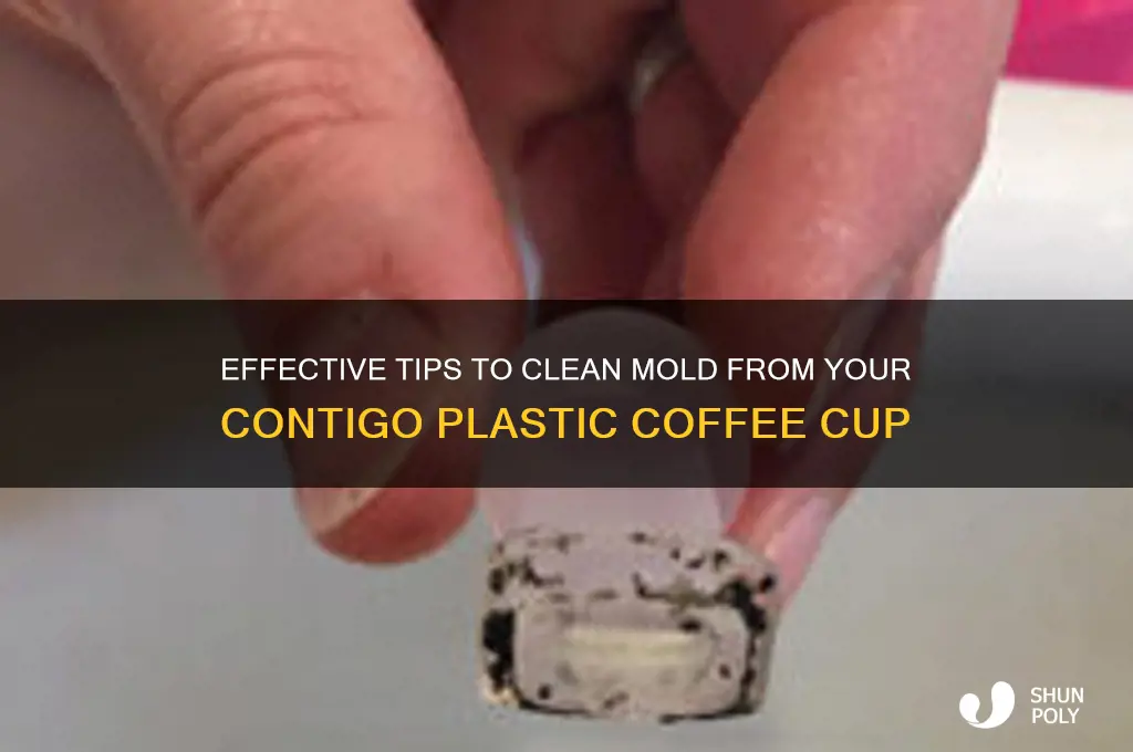 how to clean a plastic coffee cup moldy contigo