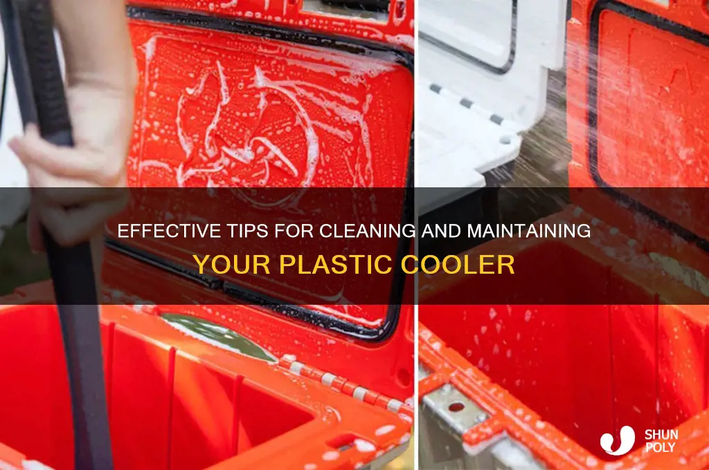 how to clean a plastic cooler