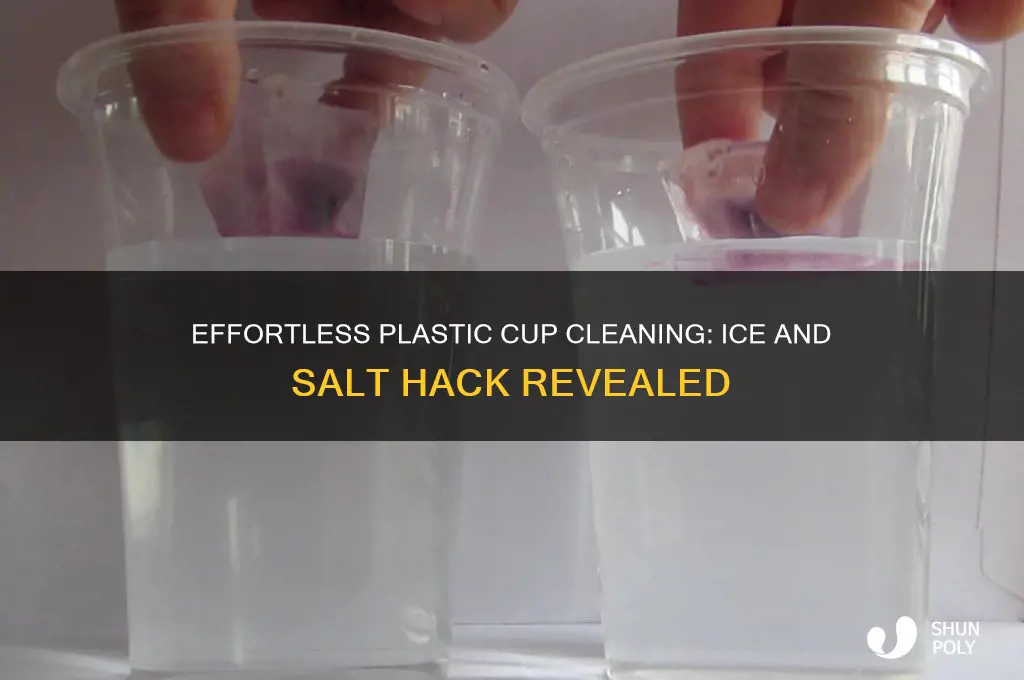 how to clean a plastic cup with ice and salt