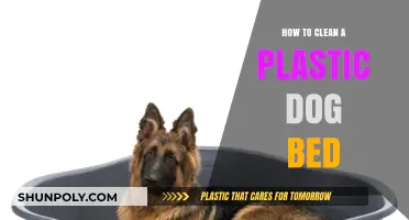Easy Steps to Clean and Freshen Your Plastic Dog Bed
