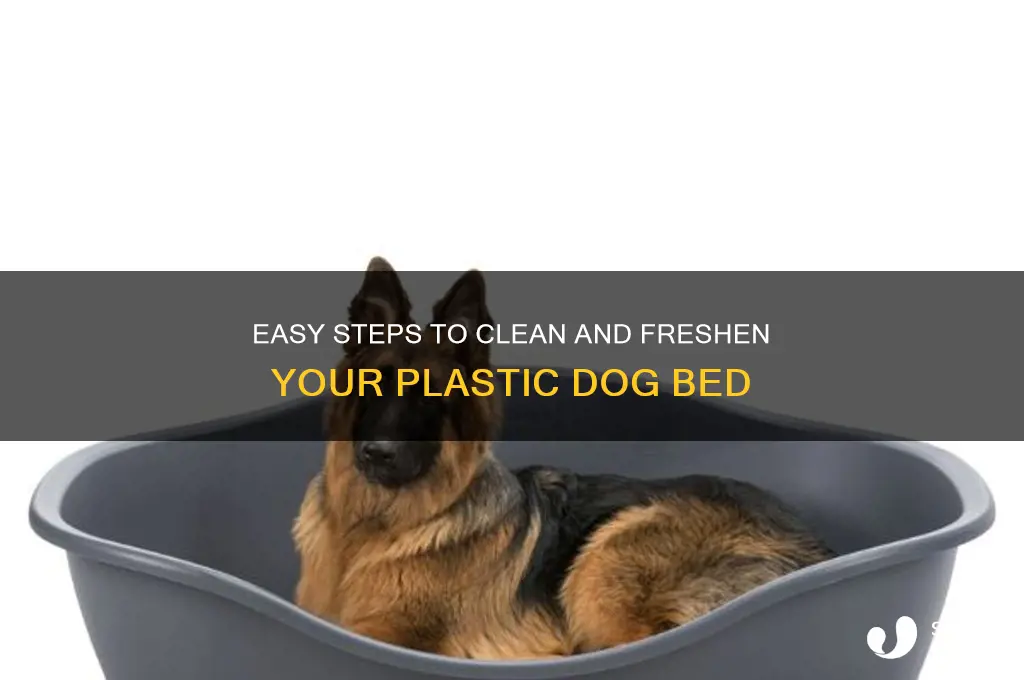 how to clean a plastic dog bed