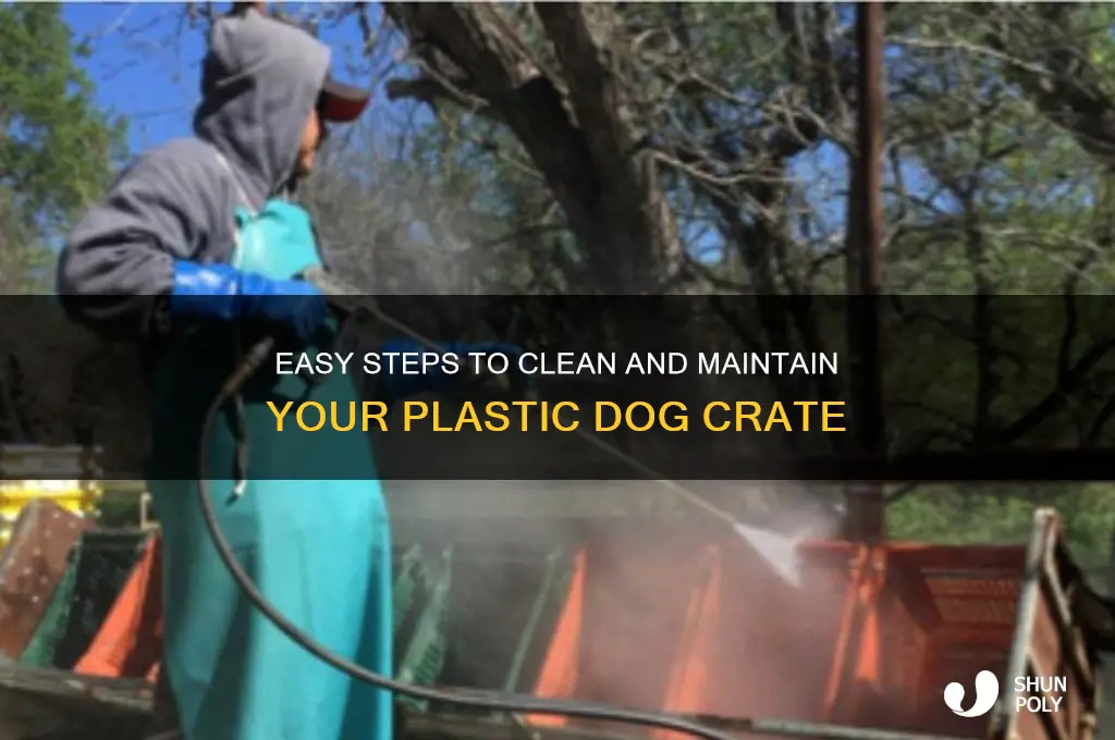 how to clean a plastic dog crate