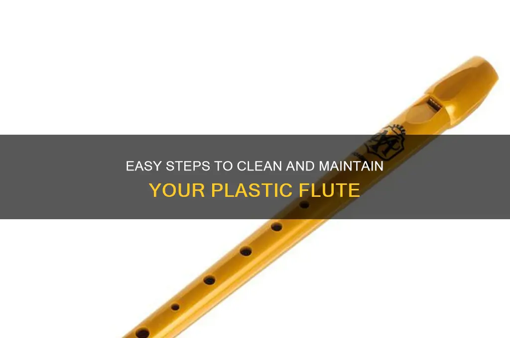 how to clean a plastic flute