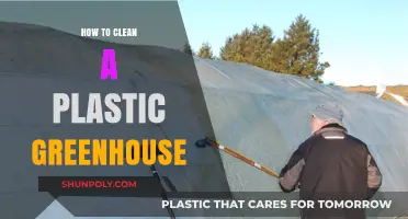 Effective Tips for Cleaning and Maintaining Your Plastic Greenhouse