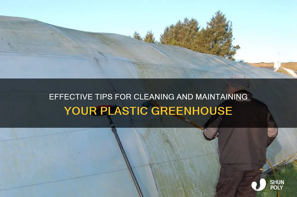 how to clean a plastic greenhouse