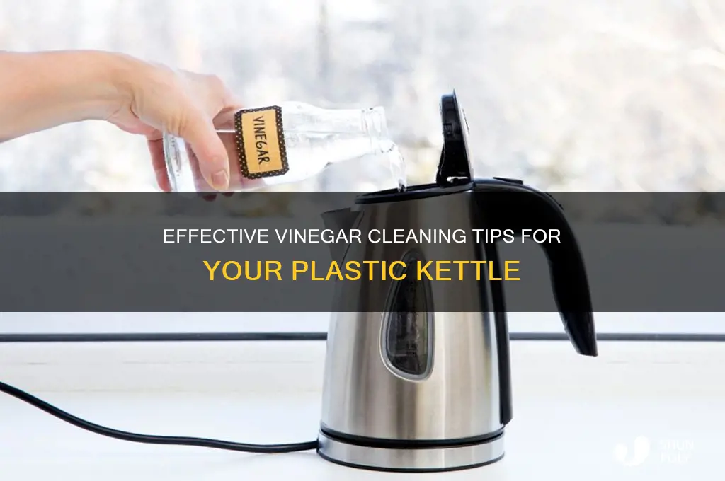 how to clean a plastic kettle with vinegar