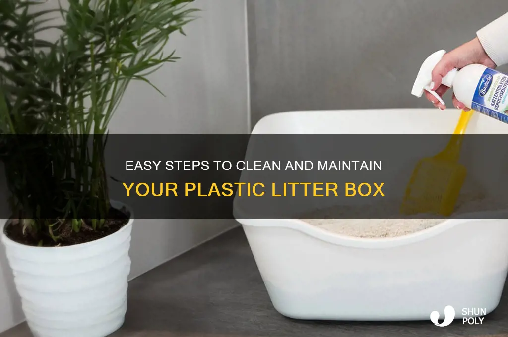 how to clean a plastic litter box