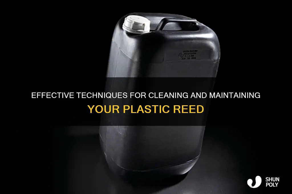 how to clean a plastic reed