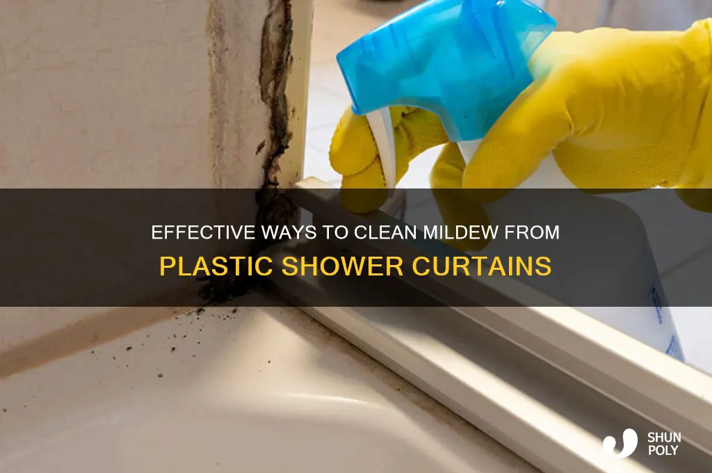 how to clean a plastic shower curtain with mildew