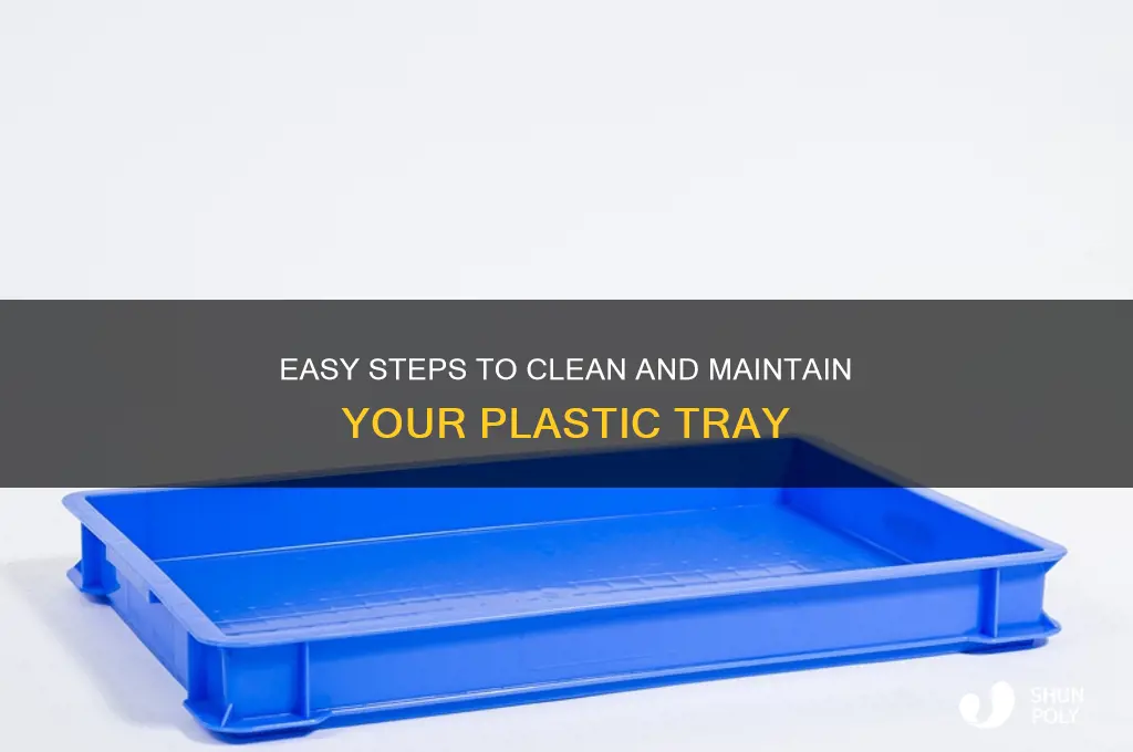 how to clean a plastic tray