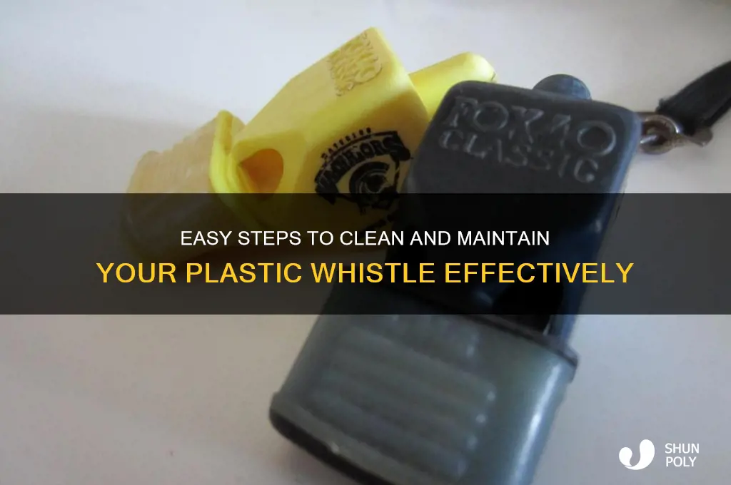 how to clean a plastic whistle