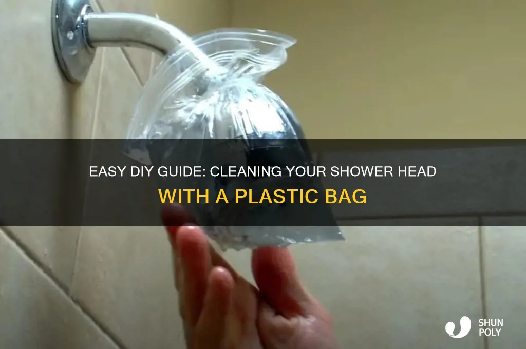 how to clean a shower head plastic bag