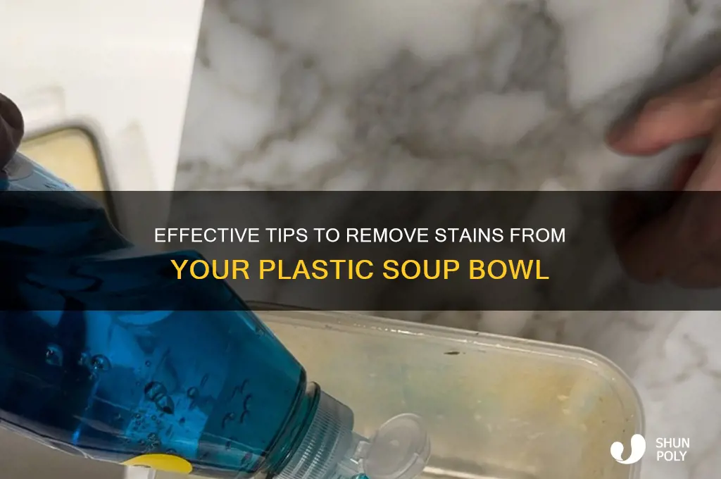 how to clean a stained soup plastic bowl