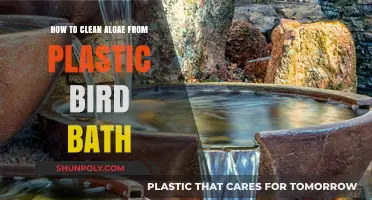 Effective Tips to Clean Algae from Your Plastic Bird Bath Easily