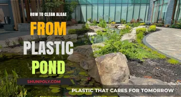 Effective Methods to Remove Algae from Your Plastic Pond Easily