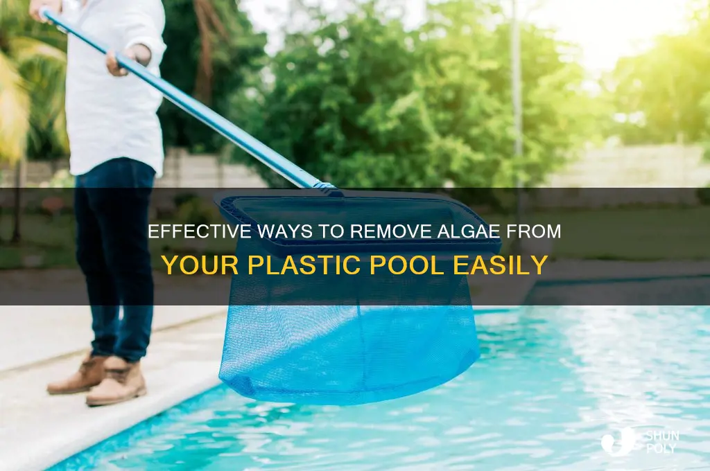how to clean algae from plastic pool