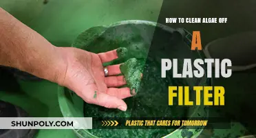 Effective Methods to Remove Algae from Plastic Filters Easily