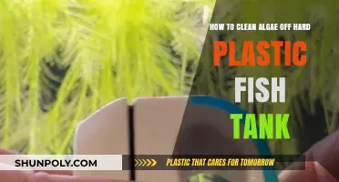 Effective Methods to Remove Algae from Hard Plastic Fish Tanks