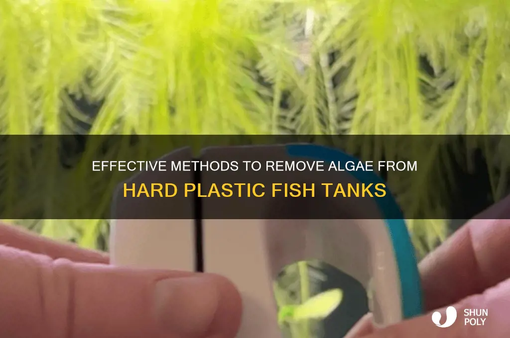 how to clean algae off hard plastic fish tank