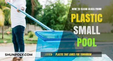 Effective Tips to Remove Algae from Small Plastic Pools Easily