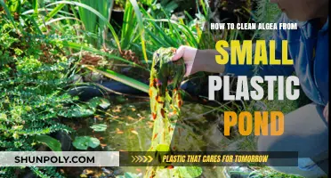 Effective Ways to Remove Algae from Your Small Plastic Pond