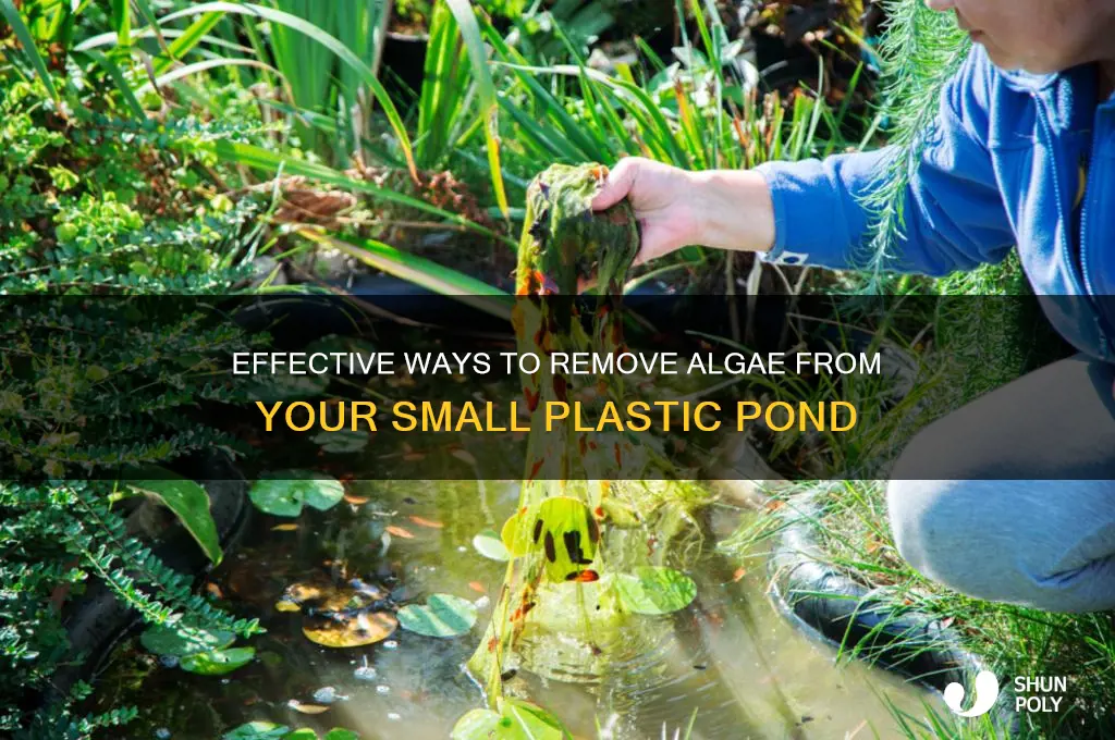 how to clean algea from small plastic pond