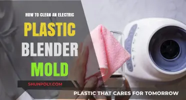 Effective Tips to Clean Mold from Electric Plastic Blenders