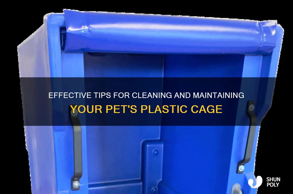 how to clean animal plastics cage