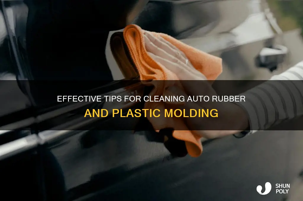how to clean auto rubber and plastic molding