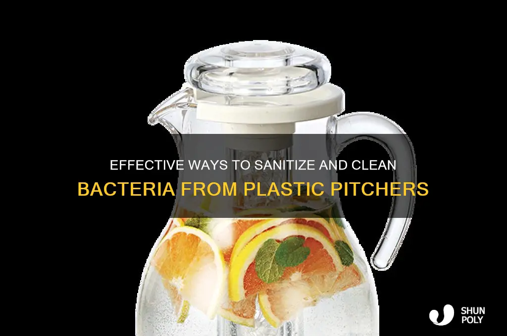 how to clean bacteria out plastic pitcher