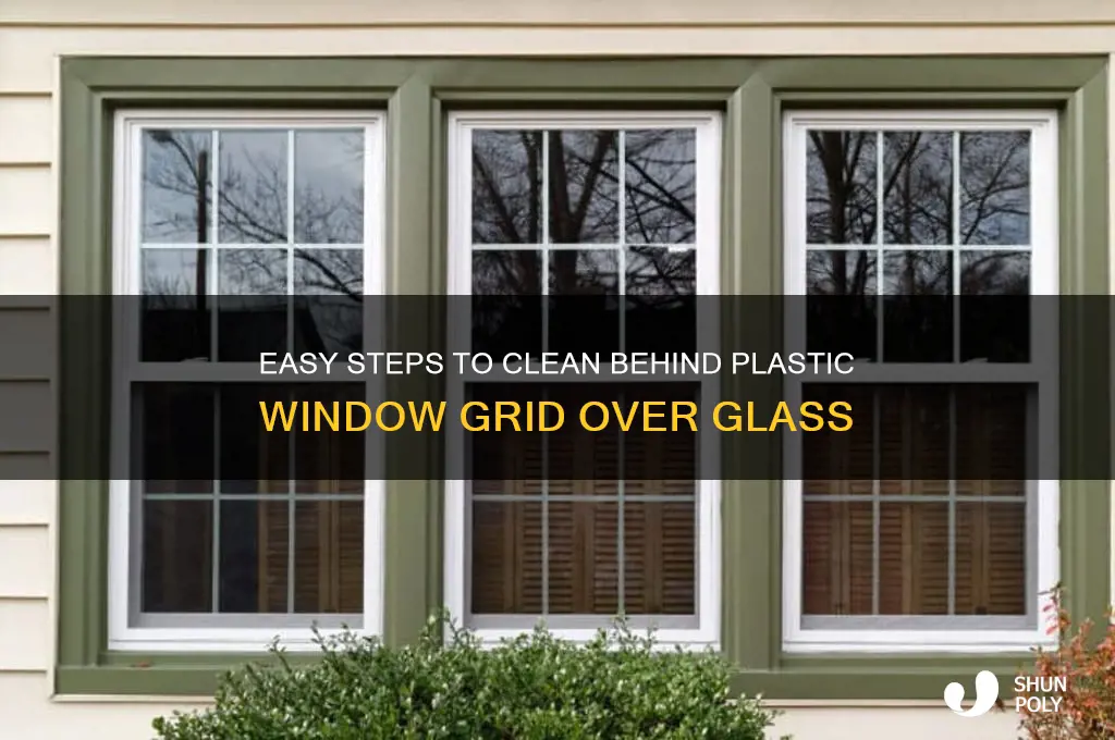 how to clean behind plastic grid over window glass