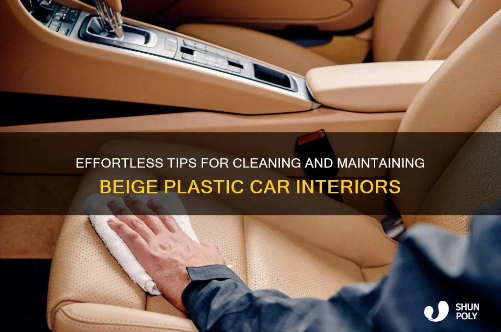 how to clean beige plastic car interior