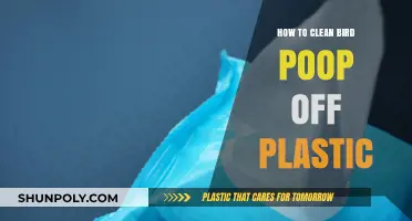 Effective Tips for Removing Bird Poop from Plastic Surfaces Easily