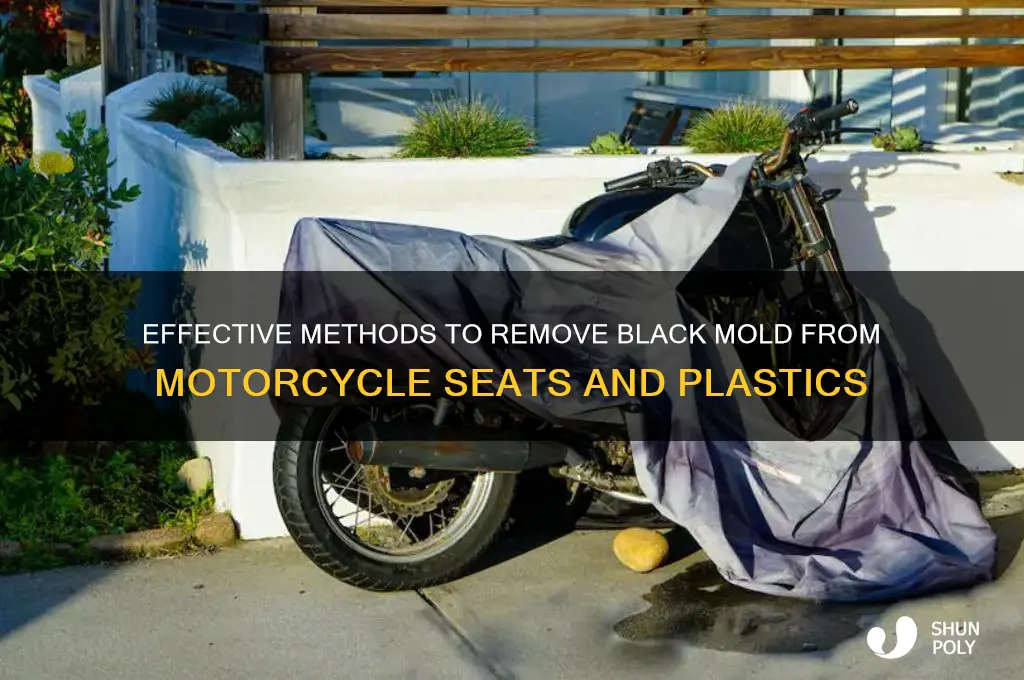 how to clean black mold off motorcycle seats and plastics