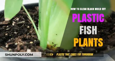 Effective Methods to Remove Black Mold from Plastic Fish Plants