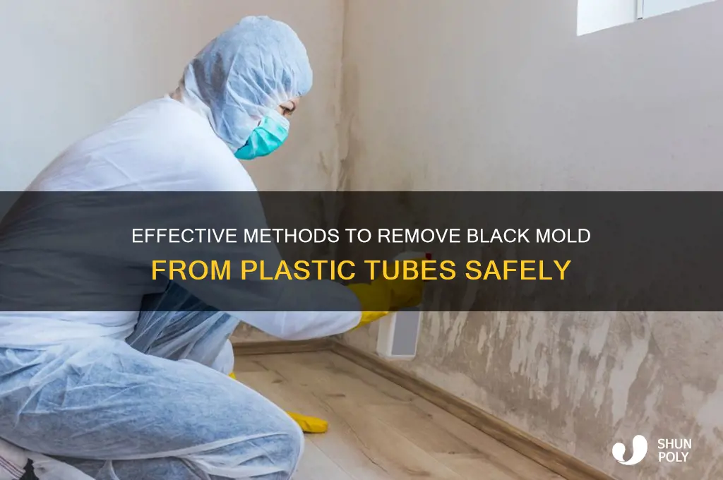 how to clean black mold out of plastic tube